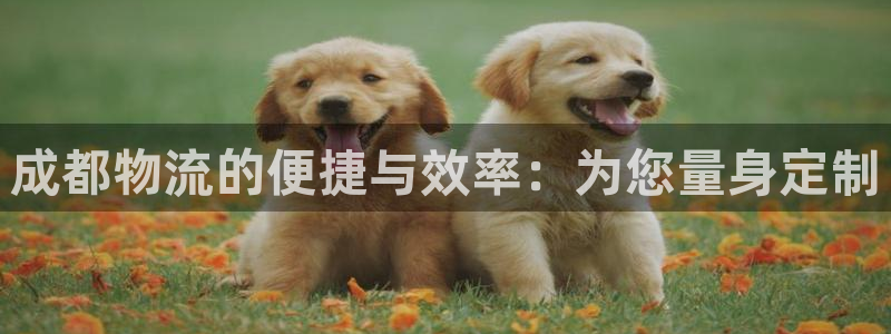 豪门国际官网入口2024：成都物流的