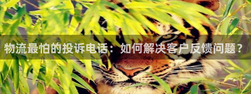 豪门国际官网入口pc28：物流最怕的