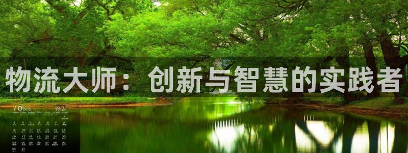 豪门国际技巧：物流大师：创新与智慧的