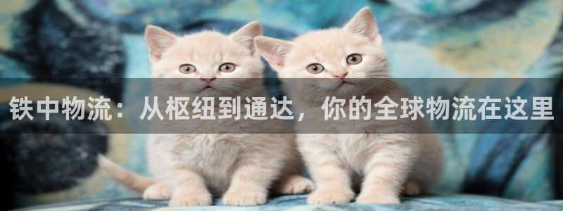 豪门国际app怎么注册账号：铁中物流