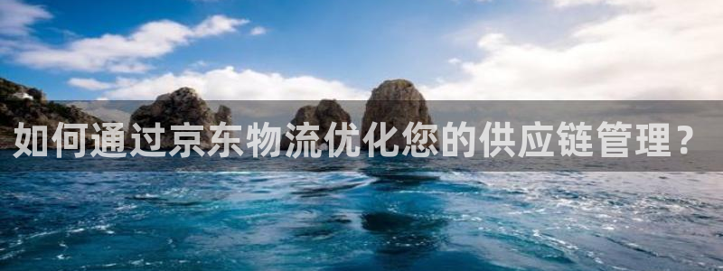 豪门国际加拿大：如何通过京东物流优化