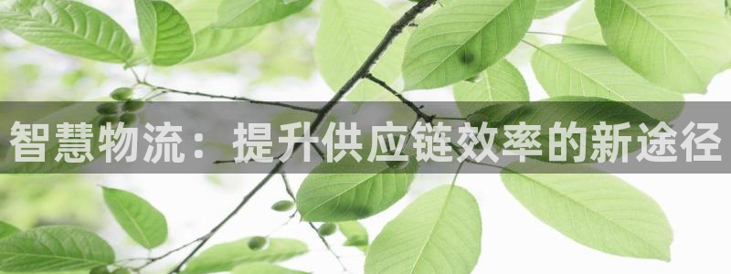 豪门国际官网链接：智慧物流：提升供应