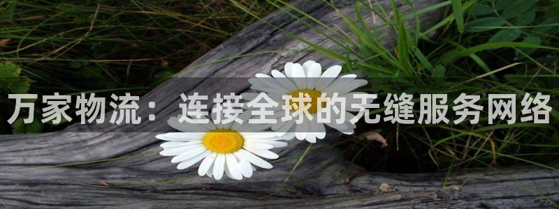 豪门国际官网网站：万家物流：连接全球的无缝服务网络