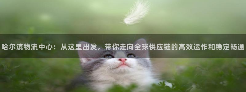豪门国际麻将胡了