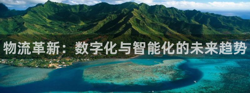 豪门国际如何退款：物流革新：数字化与