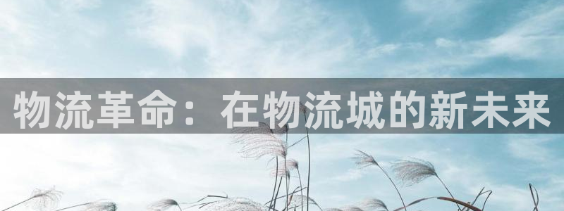 豪门国际登录用户名登录不上：物流革命
