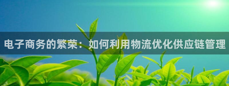 豪门国际ip被限制怎么解决：电子商务