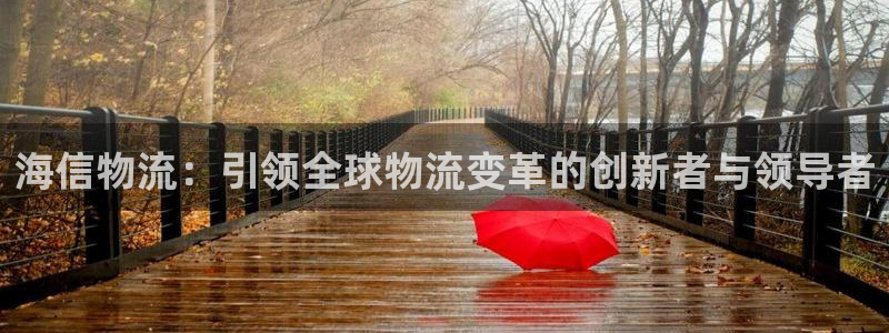 豪门国际取保