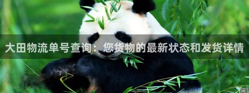 豪门国际平台注册：大田物流单号查询：