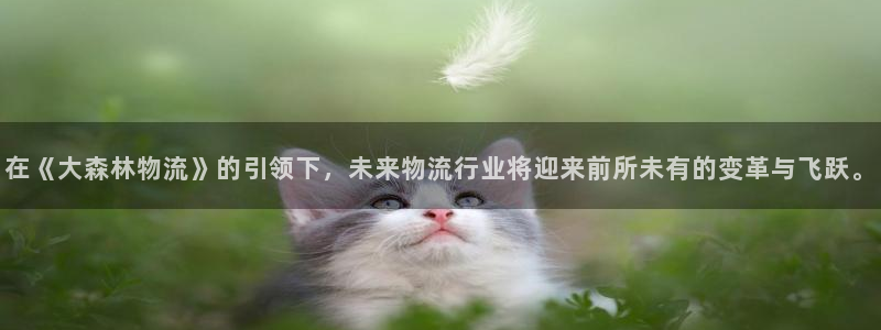 豪门国际怎么下载不了：在《大森林物流