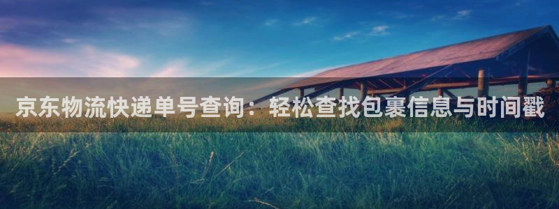 豪门国际模拟器：京东物流快递单号查询