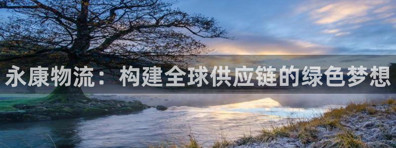 豪门国际在线预测：永康物流：构建全球供应链的绿色梦想