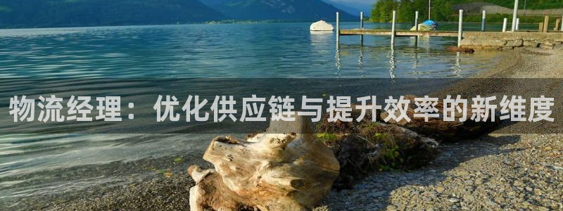 pc豪门国际怎么注册：物流经理：优化