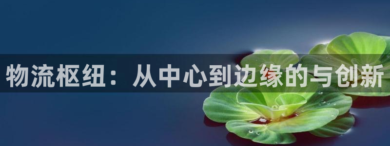 豪门国际软件总是闪退怎么回事：物流枢纽：从中心到边缘的与创新